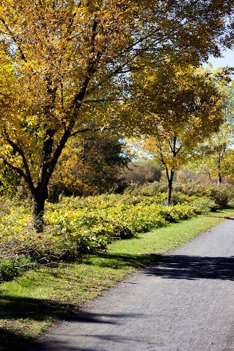 Autumn Picnic